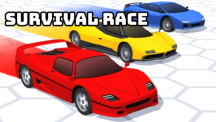 Survival Race img
